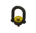 Picture for category Hoist Ring - Lift-Check™ - Metric